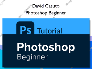 Photoshop Beginner