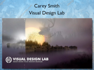 Visual Design Lab