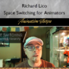 Space Switching for Animators