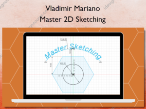 Master 2D Sketching