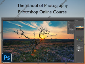 Photoshop Online Course