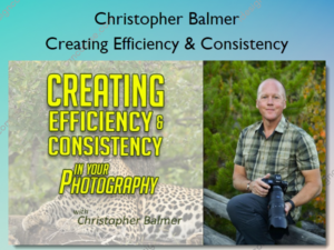 Creating Efficiency & Consistency