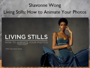 Living Stills: How to Animate Your Photos