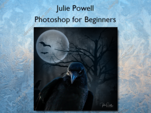 Photoshop for Beginners by Julie Powell