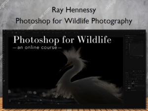 Photoshop for Wildlife Photography