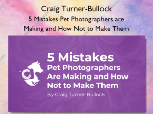 5 Mistakes Pet Photographers are Making and How Not to Make Them