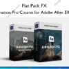 Animation Pro Course for Adobe After Effects – Flat Pack FX