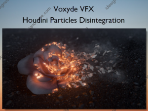 Houdini Particles Disintegration