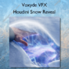 Houdini Snow Reveal