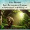 Color Correcting and Creating a Cinematic Look in Photoshop CC