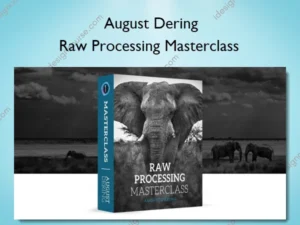 Raw Processing Masterclass – August Dering