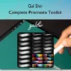 Complete Procreate Toolkit – Gal Shir