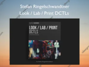 Look / Lab / Print DCTLs – Stefan Ringelschwandtner