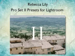 Pro Set II Presets for Lightroom – Rebecca Lily