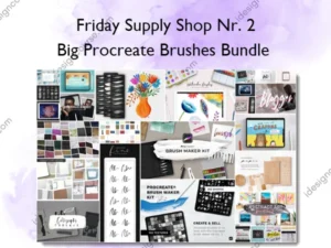 Big Procreate Brushes Bundle – Friday Supply Shop Nr. 2