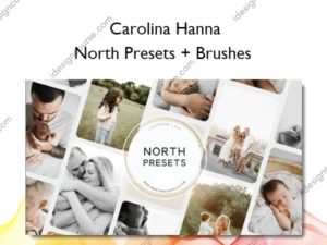 North Presets + Brushes – Carolina Hanna