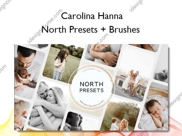 North Presets + Brushes – Carolina Hanna
