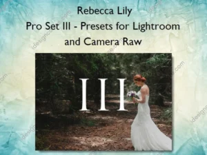 Pro Set III – Presets for Lightroom and Camera Raw – Rebecca Lily
