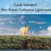 The Film Preset Collection Lightroom V6 – Caleb Salvadori