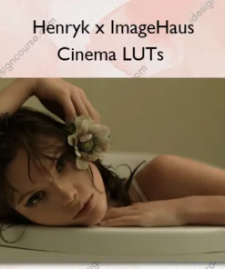 Cinema LUTs – Henryk x ImageHaus