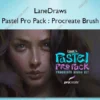 The Pastel Pro Pack : Procreate Brush Set – LaneDraws