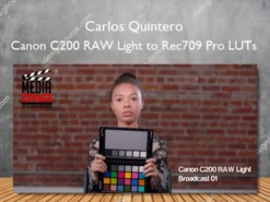Canon C200 RAW Light to Rec709 Pro LUTs – Carlos Quintero