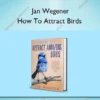 How To Attract Birds – Jan Wegener