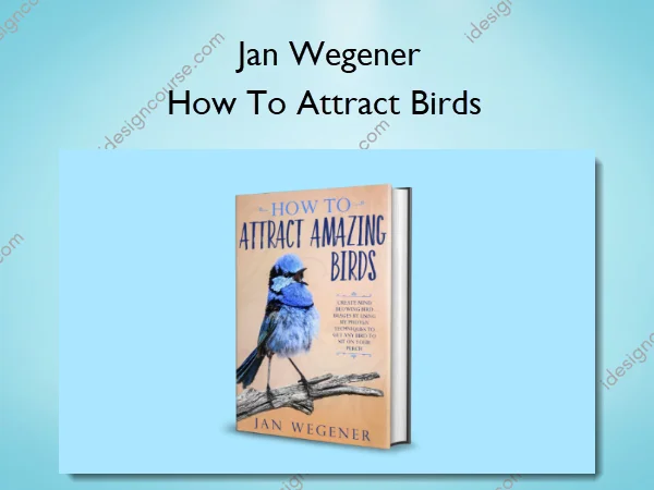 How To Attract Birds – Jan Wegener
