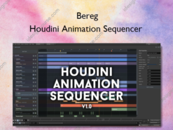 Houdini Animation Sequencer – Bereg