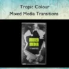 Mixed Media Transitions – Tropic Colour